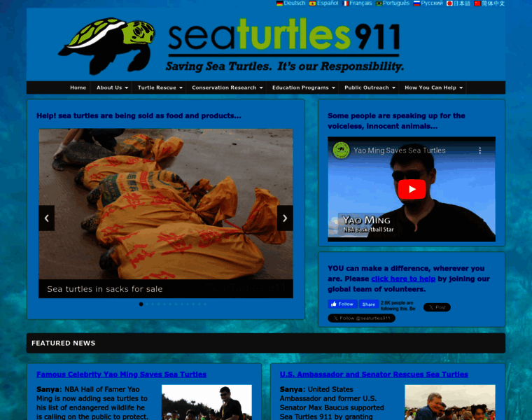 Seaturtles911.org thumbnail