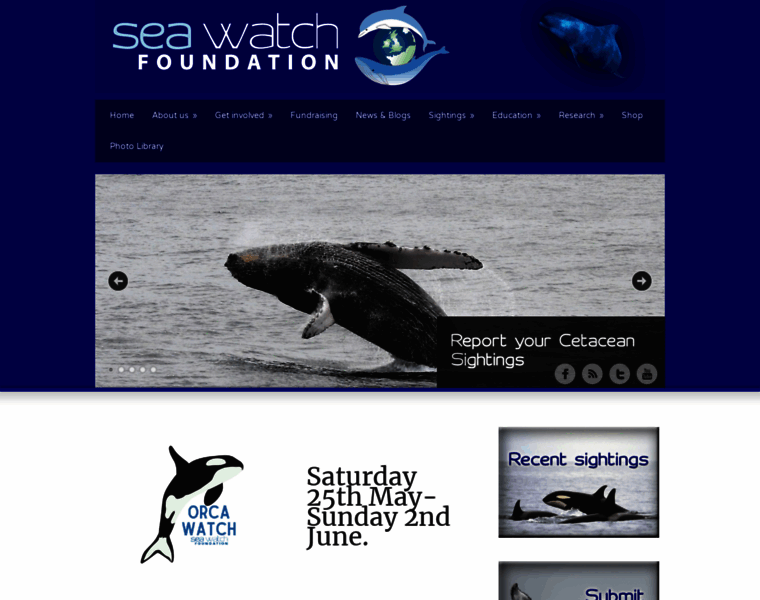 Seawatchfoundation.org.uk thumbnail
