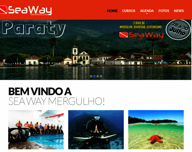 Seawaynet.com.br thumbnail