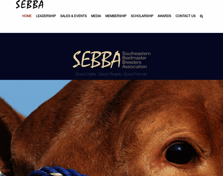 Sebba.com thumbnail