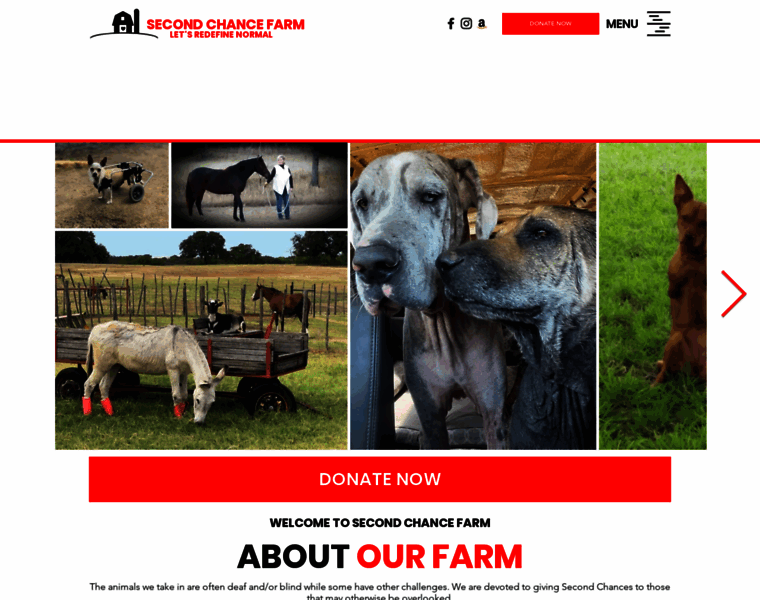 Secondchancefarmgranbury.org thumbnail