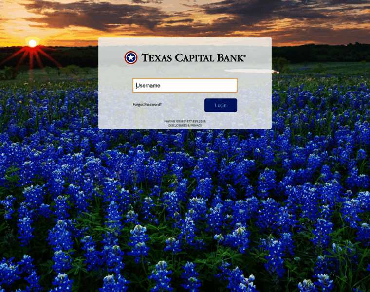 Securelogin.texascapitalbank.com thumbnail