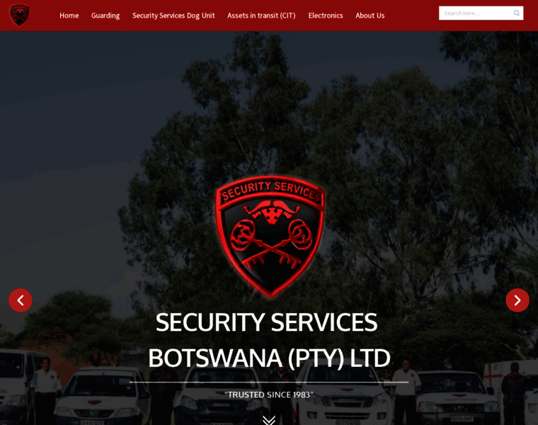 Securityservicesbotswana.com thumbnail