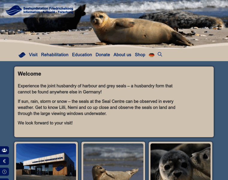 Seehundstation-friedrichskoog.de thumbnail