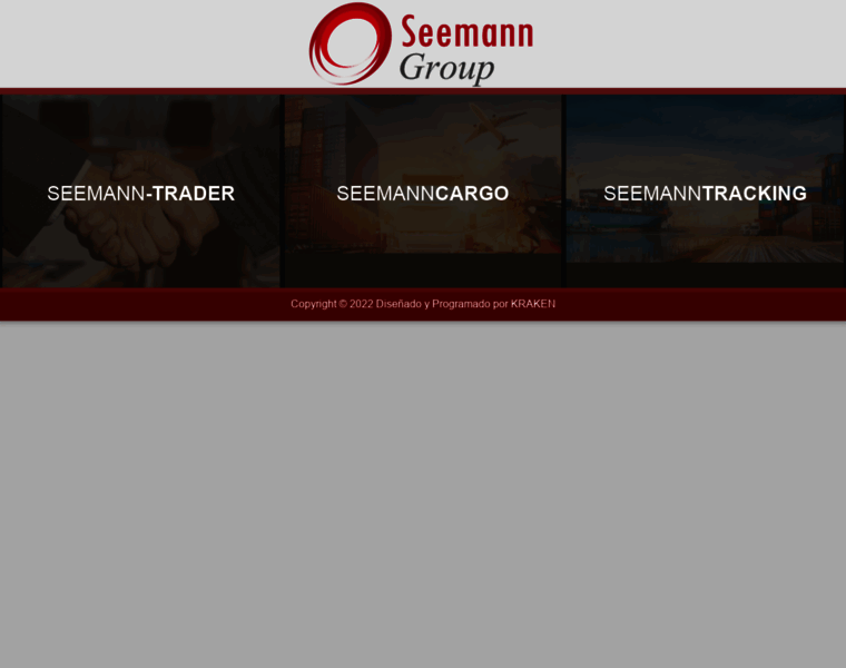 Seemanngroup.com thumbnail
