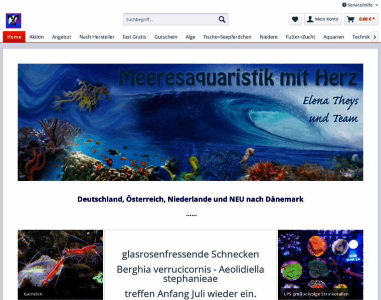 Seepferdchen-und-meer.de thumbnail