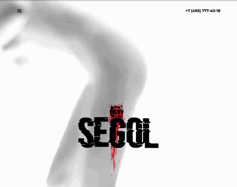 Segol.ru thumbnail