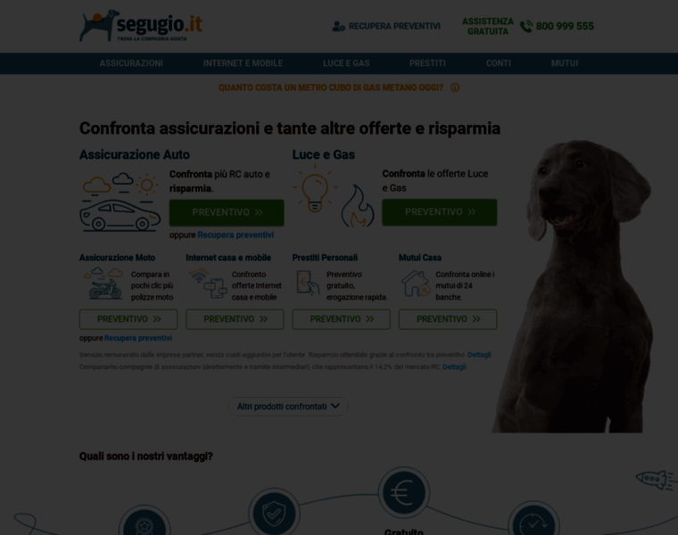 Segugio.it thumbnail Segugio.it thumbnail