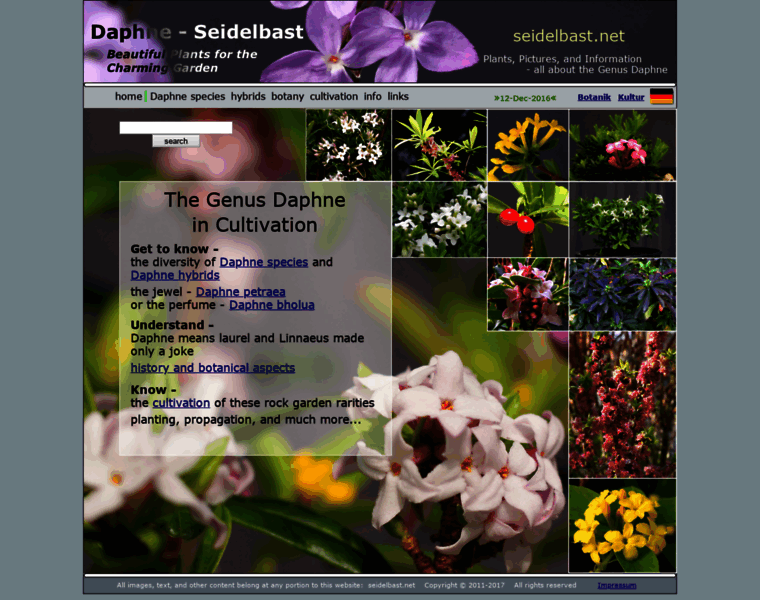 Seidelbast.net thumbnail