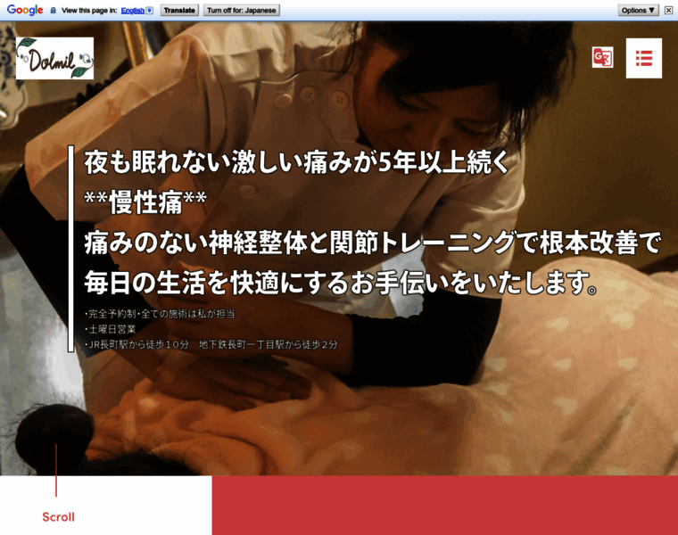 Seitai-dolmil.jp thumbnail