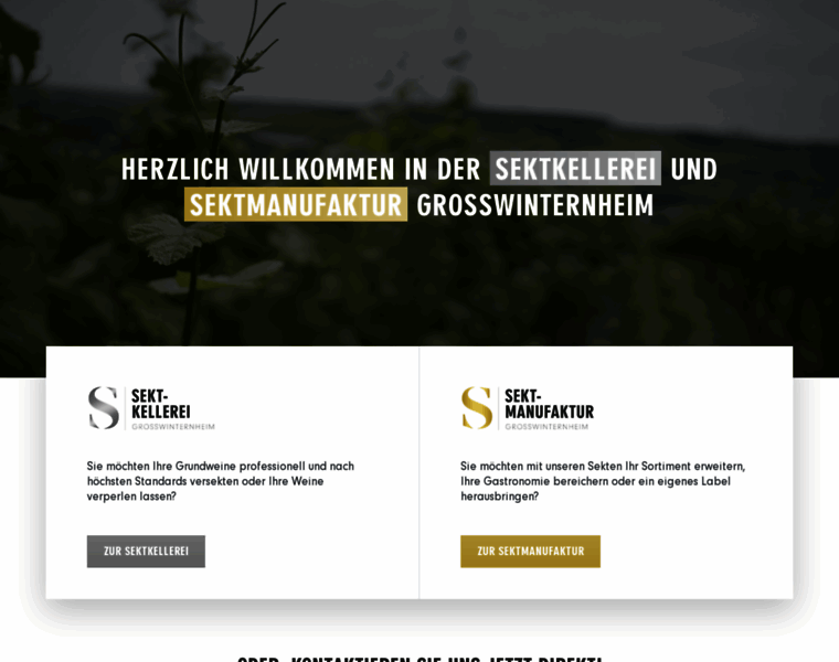 Sektmanufaktur.de thumbnail