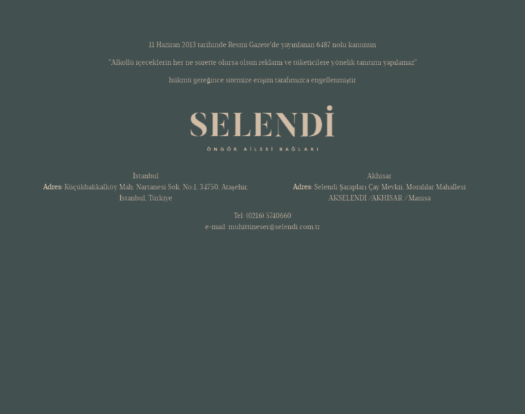 Selendi.com.tr thumbnail