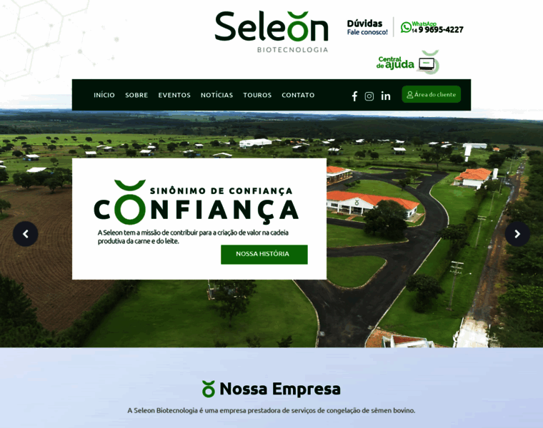 Seleon.com.br thumbnail