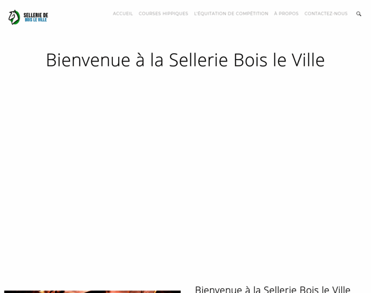 Sellerie-de-bois-le-ville.fr thumbnail