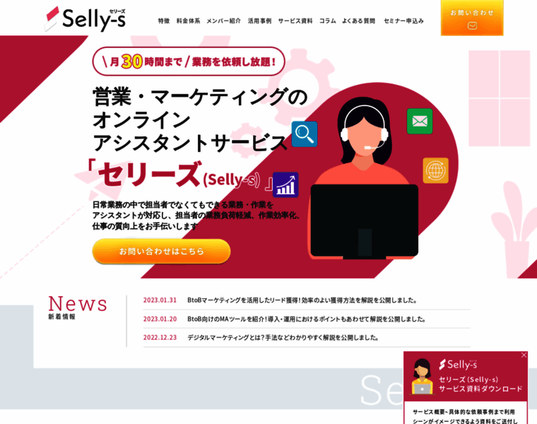 Selly-s.com thumbnail