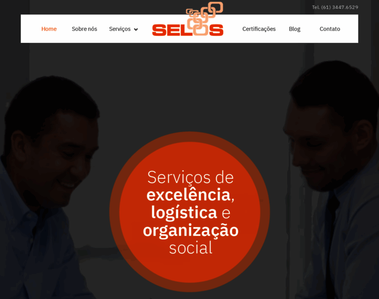 Selosconsultoria.com.br thumbnail