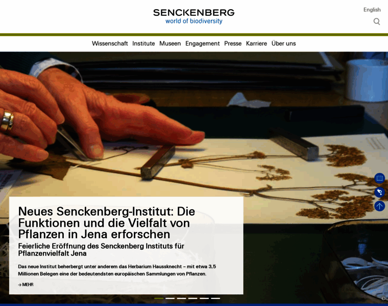 Senckenberg.de thumbnail