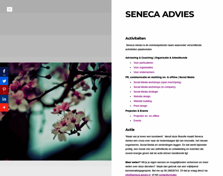 Seneca-advies.nl thumbnail
