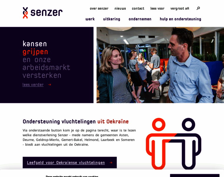 Senzer.nl thumbnail