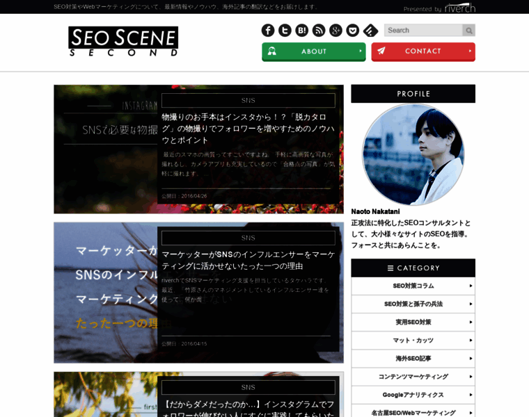 Seo-scene.com thumbnail