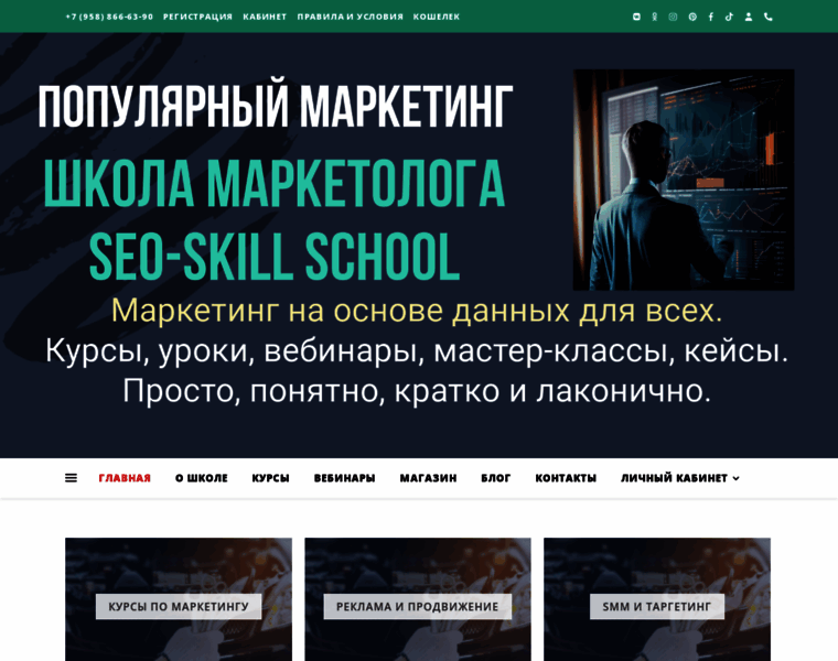 Seo-skill.ru thumbnail
