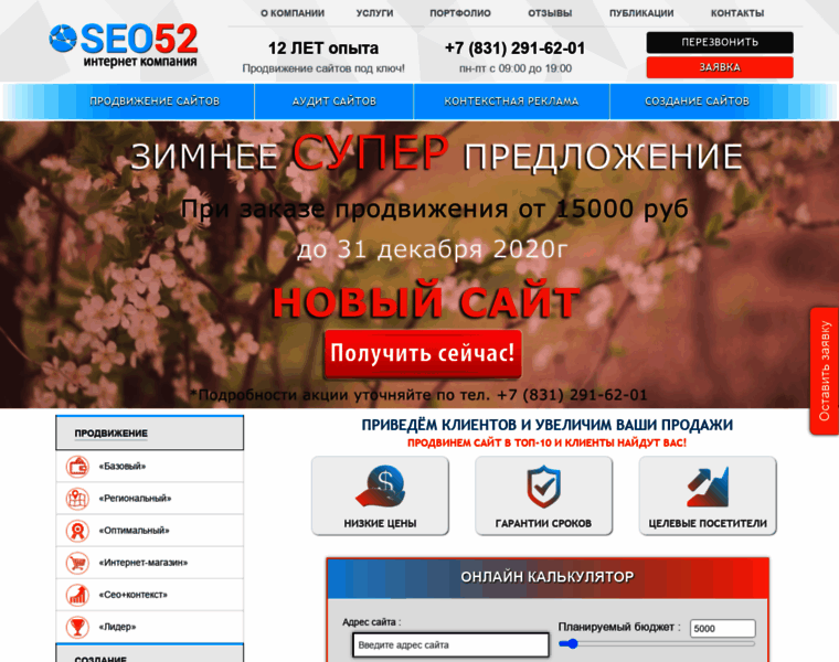 Seo52nn.ru thumbnail