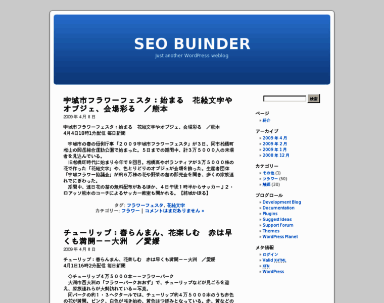 Seobinder.net thumbnail