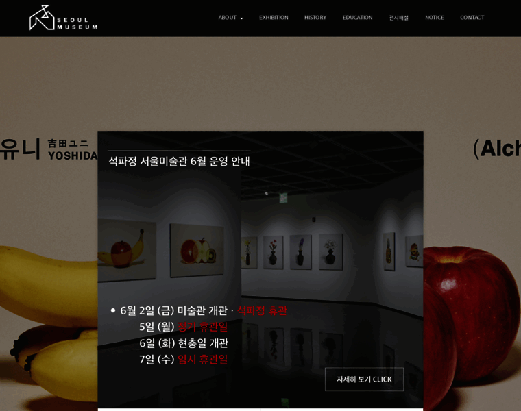 Seoulmuseum.org thumbnail