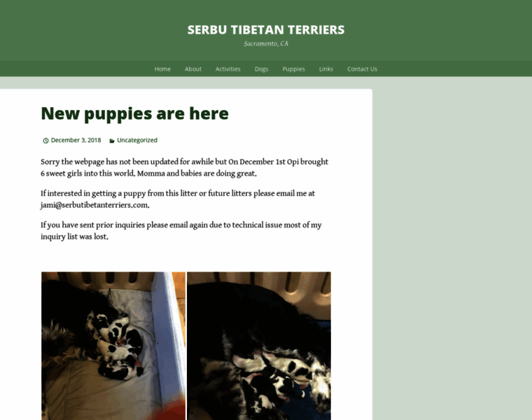 Serbutibetanterriers.com thumbnail