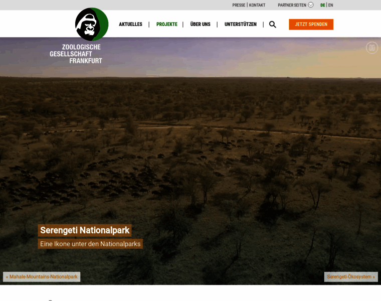 Serengeti.org thumbnail