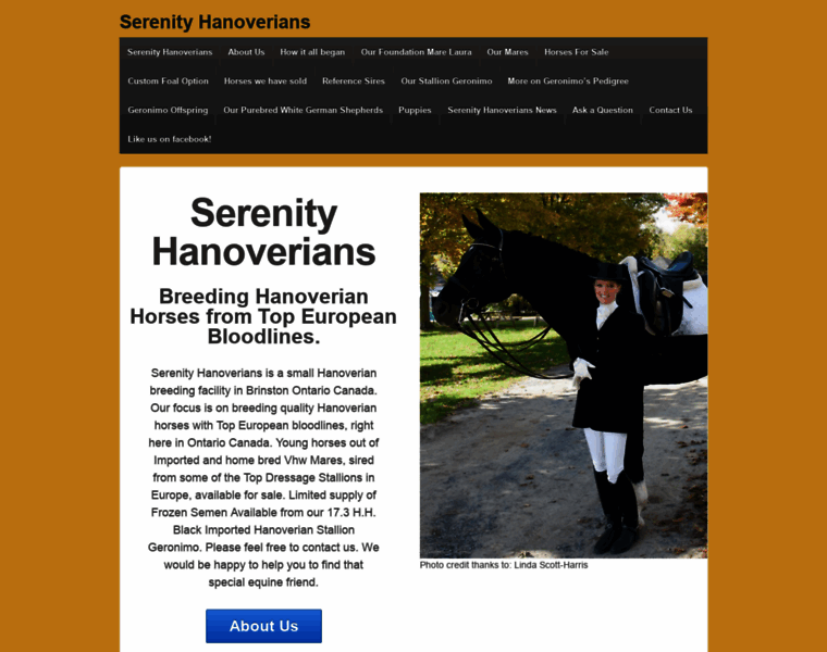 Serenityhanoverians.ca thumbnail