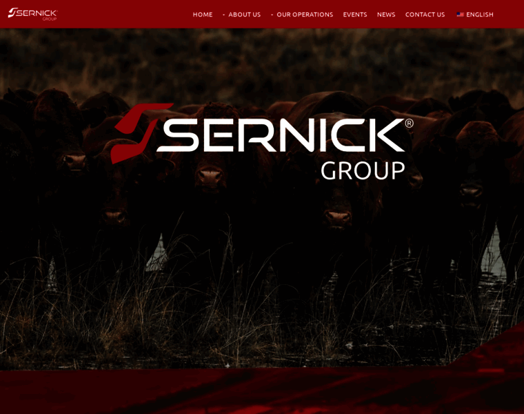 Sernick.co.za thumbnail