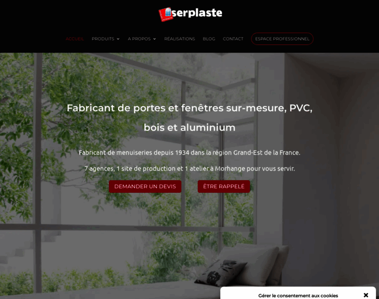 Serplaste-leblog.fr thumbnail
