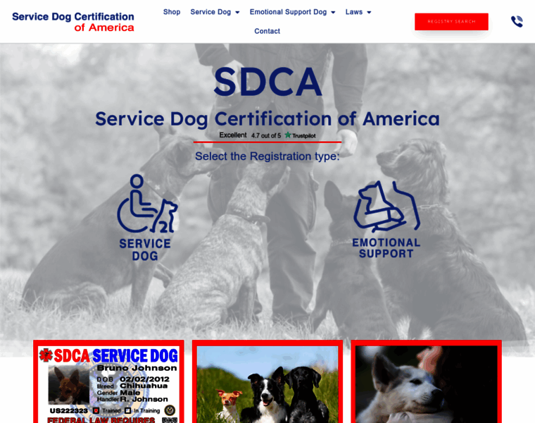 Servicedogcertificationofamerica.com thumbnail