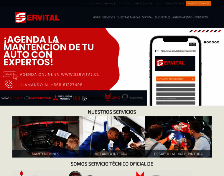 Servital.cl thumbnail