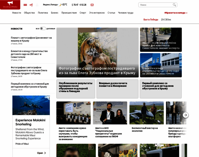 Sevastopolmedia.ru thumbnail