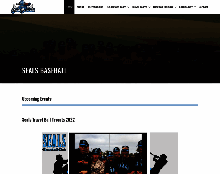 Sfsealsbaseball.com thumbnail