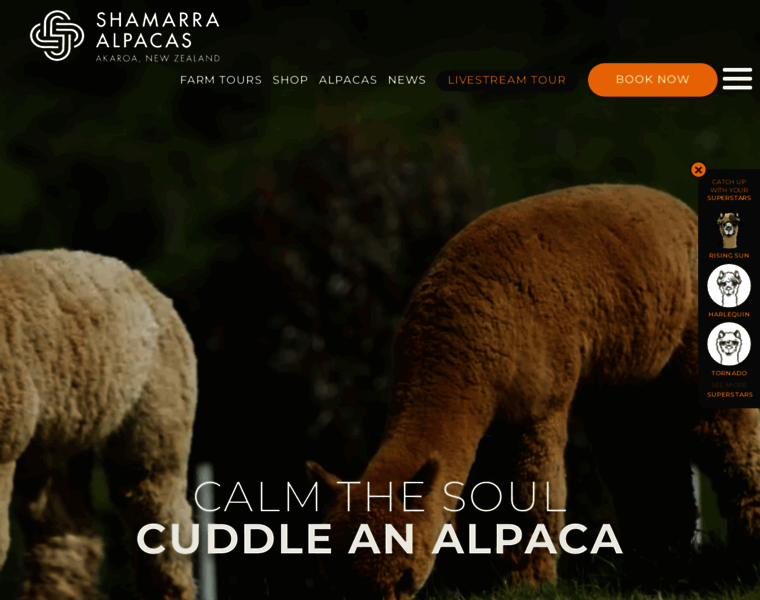 Shamarra-alpacas.co.nz thumbnail