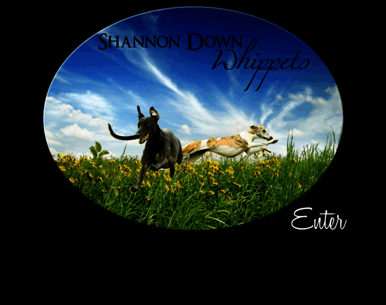 Shannondownwhippets.com thumbnail