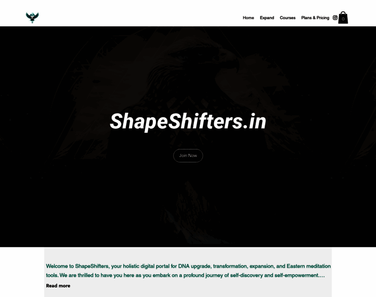 Shape-shifter.in thumbnail