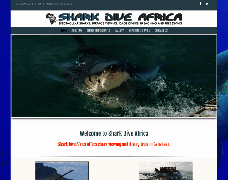 Sharkdiveafrica.co.za thumbnail