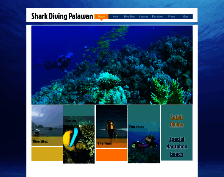 Sharkdivingpalawan.com thumbnail