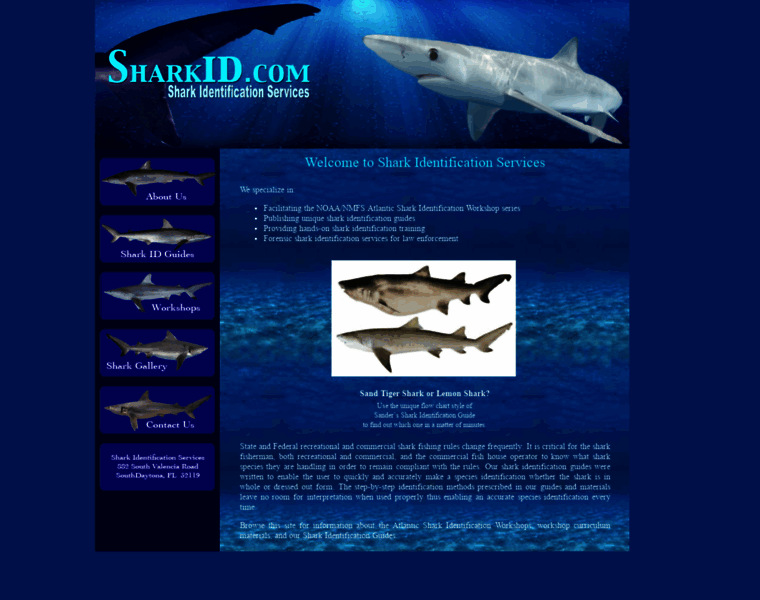 Sharkid.com thumbnail