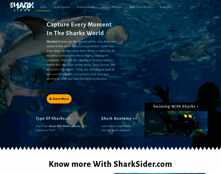 Sharksider.com thumbnail