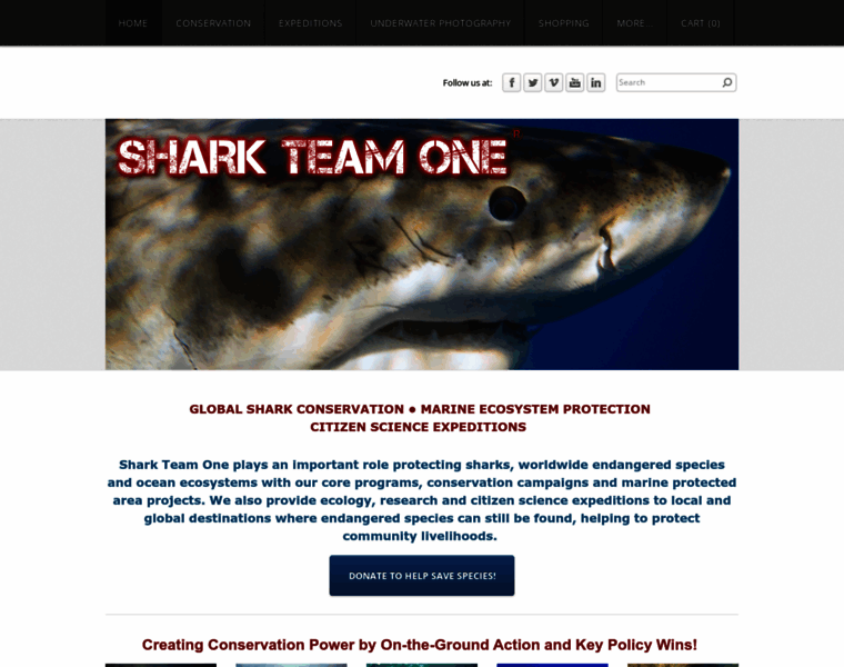Sharkteamone.org thumbnail