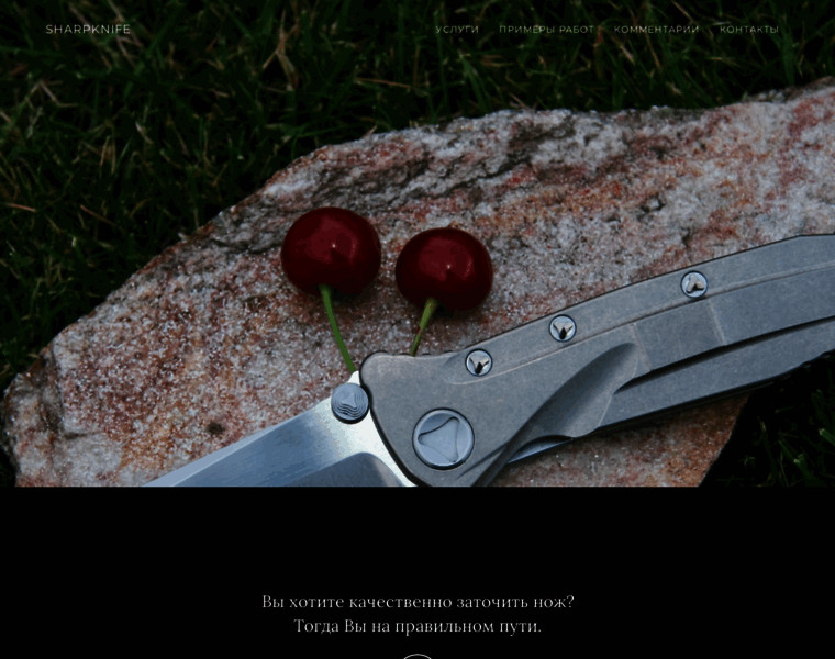 Sharpknife.gcn.ua thumbnail