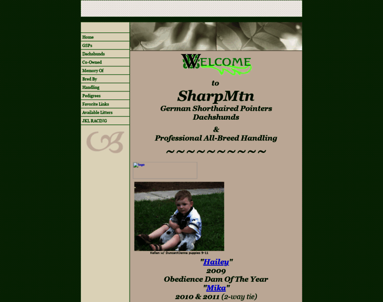 Sharpmtn.net thumbnail