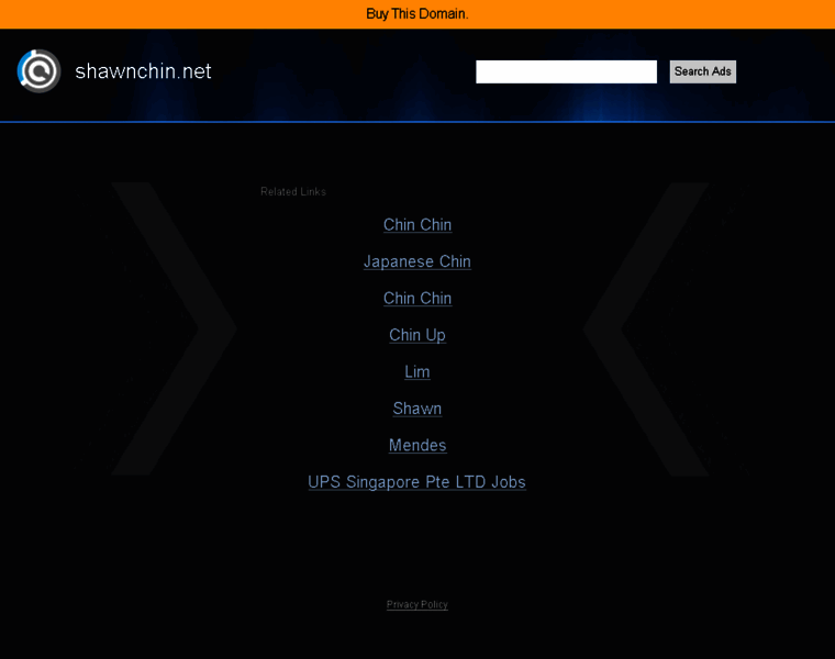 Shawnchin.net thumbnail