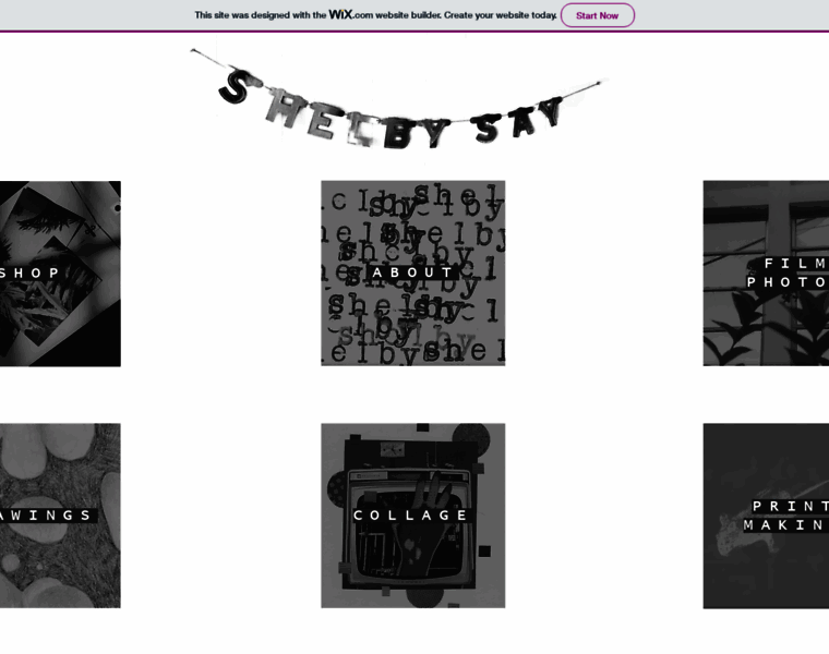 Shelbysay.com thumbnail