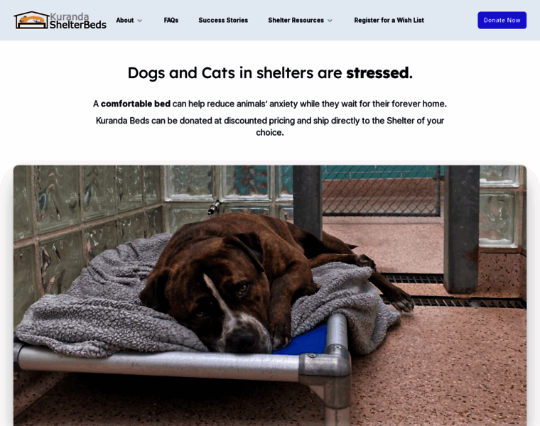 Shelterbeds.org thumbnail